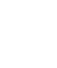security icon